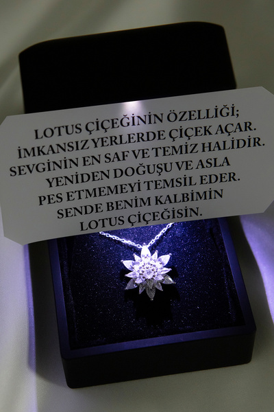 SARIASLAN Işıklı Kutuda Beyaz Zirkon Taşlı Rodyumlu 925 Ayar Gümüş Lotus Çiçe...