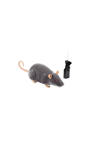 Gonga Interactive toy for children, mouse, with remote control, Gonga® Grey
