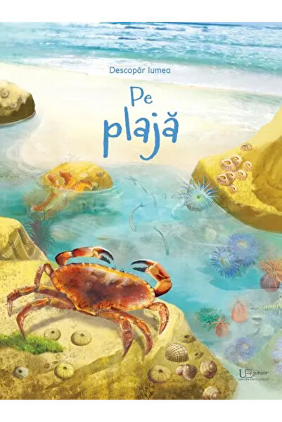 Univers Enciclopedic Junior Pe plaja (Usborne)