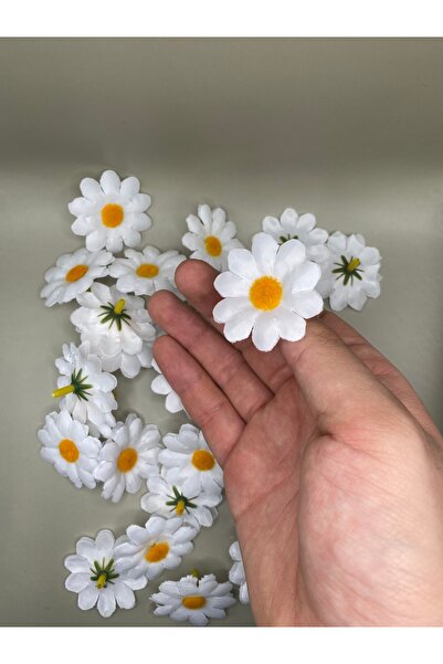 Massaltay White Daisy Ornamental Flower 25 Pack |   Handicraft, Wedding and Gift Decoration
