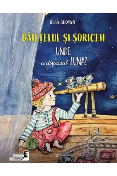 Bookzone Baietelul si soriceii