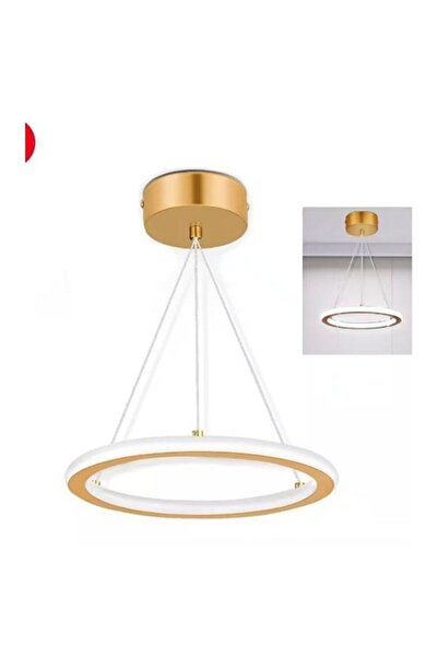 OEM LED Ceiling Light - Modern Round Chandelier 33W 4000K