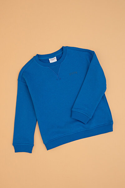 U.S. Polo Assn. Erkek Çocuk Saks Bisiklet Yaka Basic Sweatshirt 50313829-VR032
