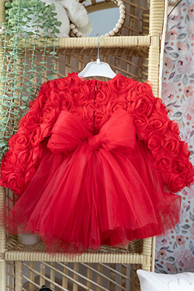 ALYRA Kız Bebek Elbise Uzun Kollu Fiyonklu 3D Gül Aplikeli Doğum Günü Parti D...