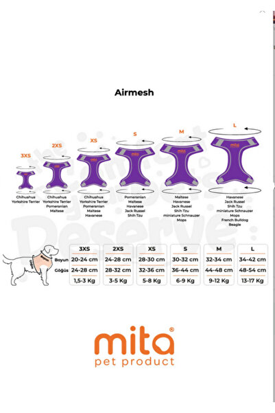 Mita Set of 12 Air Mesh 3XS Chest Straps Purple