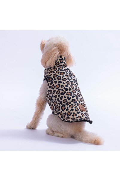 Pawstar سترة مبييا الذهبية بنمط الفهد للكلاب، ملابس للكلاب، معطف واق من المطر للكلاب