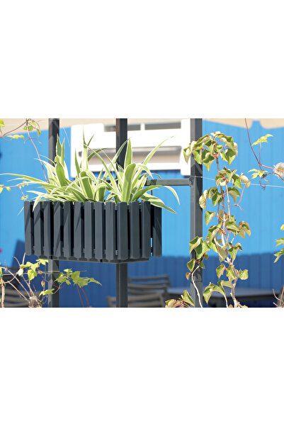 Prosperplast Boardee Fencycase brown balcony planter 380x180x162mm