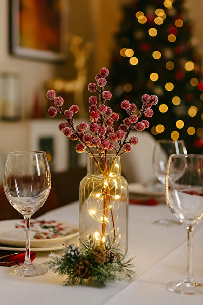 Home Kırmızı Karlı Görünümlü Kokina 5 Dal (21cm)