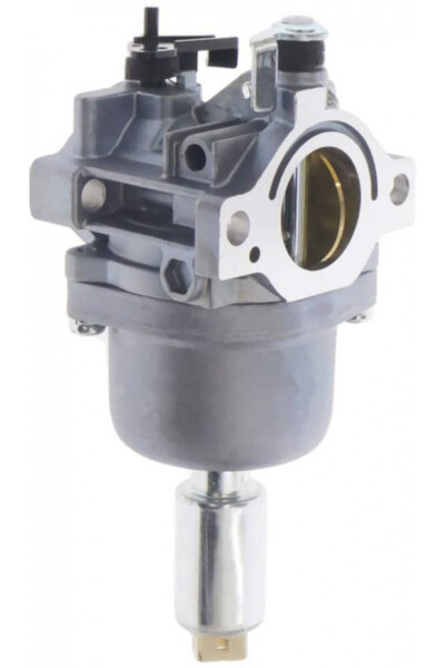 Farmertec Briggs&Stratton Carburetor 794572, 791858