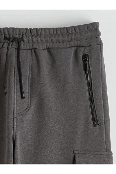 LC Waikiki Standard Fit Men's Sweatpants