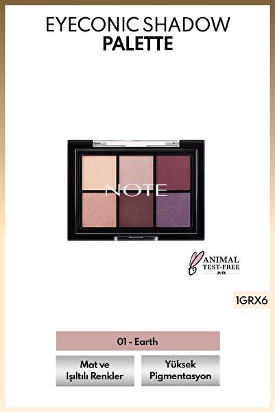 NOTE Eyeconic Eyeshadow Palette Mat ve Işıltılı Toz Göz Far Paleti - 01 Earth