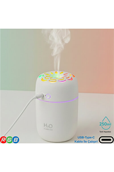 VOREX 250ML RGB Işıklı Süper Sessiz Type-C Mini Hava Nemlendirici & Aroma Dif...