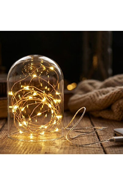 ORBUS Bakır Tel LED Işık Zinciri – 2.5 Metre USB Çalışma, Sıcak Sarı Işık