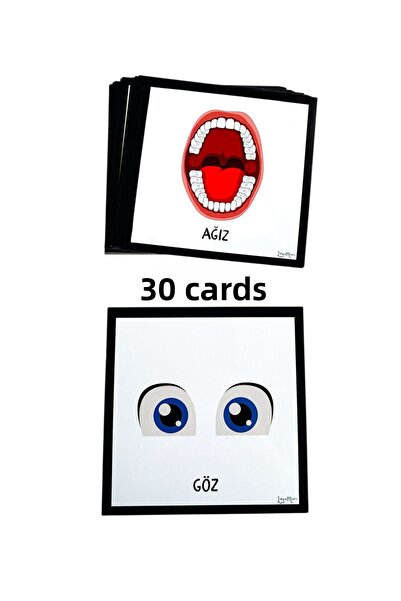 Loyameri Kidsshop بطاقات أقسام الوجه، بطاقات الأعضاء، ما قبل المدرسة، التدريب...