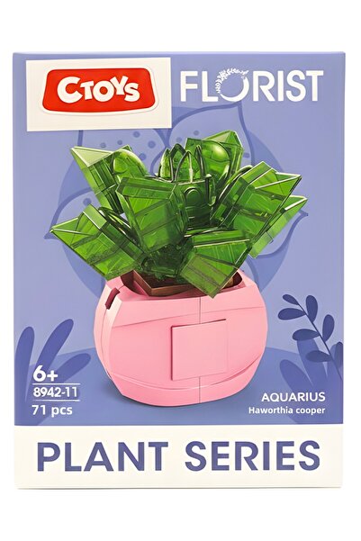 CToys Florist Burçlar Cobalt Ilı Plant Making Kit Aquarius 8942 11