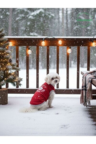 Gobo Mutlu Hav Hav'Lar New Year's Themed Cat and Dog Outfit Dress New Year Design Small/S/Size 1