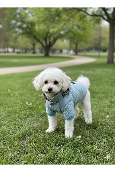 PATİLİNKA Kedi - Köpek Kapitoneli Şişme Kalın Yağmur ve Kar Geçirmez Kışlık M...