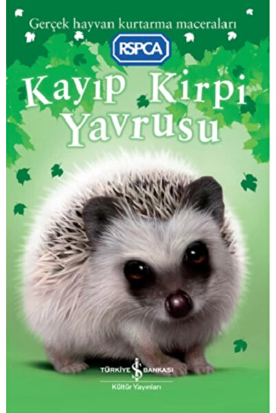 TÜRKİYE İŞ BANKASI KÜLTÜR YAYINLARI Kayıp Kirpi Yavrusu