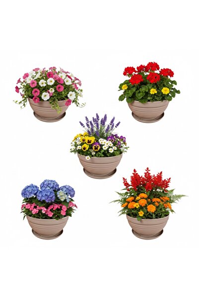 Bahçe kulesi 5 Adet Ortanca Tabaklı Çiçek Saksısı 5 Adet Açık Kahve Çiçek Sak...