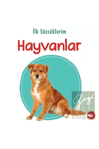 Beyaz Balina Yayınları كلماتي الأولى - الحيوانات
