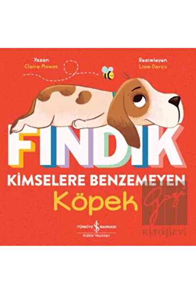 TÜRKİYE İŞ BANKASI KÜLTÜR YAYINLARI Fındık Kimselere Benzemeyen Köpek