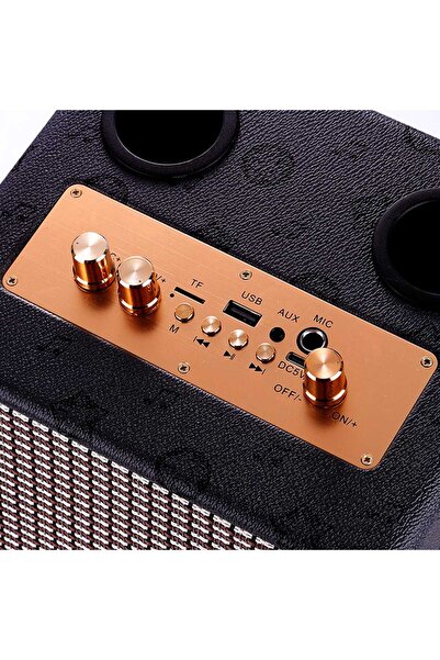 Microdigit MD675PS Wireless Karaoke Speaker with Deep Sound and Dual Microphones