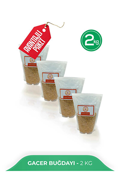 develi kadın üretim kooperatifi Meşhur Develi Gacer Buğdayı 2 kg - Atalık ve Doğal