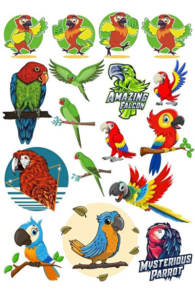 Reysa Tasarım مجموعة ملصقات الببغاء-2 مكونة من 17 قطعة للهاتف والكمبيوتر اللو...