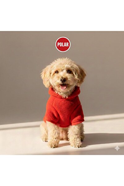 PetiliDünya ملابس قطط وكلاب من الصوف الأحمر بنسبة 100%