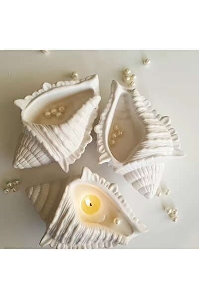 morlalem m İstiridye Midye Deniz Kabuğu Mumluk Saksı Silikon Kalıp K-1301, Kokulu Taş Sabun Alçı Mum Kalıbı