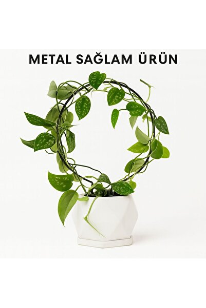 VENON 4 Adet METAL Yuvarlak 18x26 Bitki Kazık Gövde Destek Sabitleme Dikey Bü...