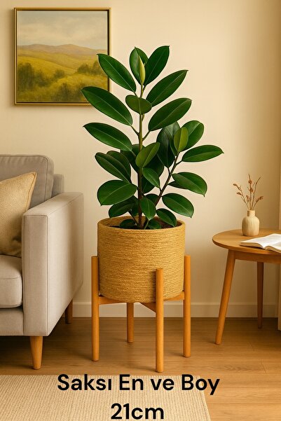 ADA Ahşap oyma ve çerçevecilik Hasır Saksı Bambu Standlı
