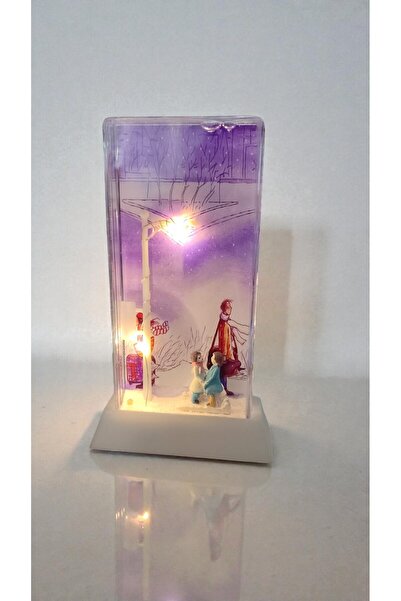 FAMEMUS ACCESSORY Sokak Lambalı Işıklı Kar küresi desenli