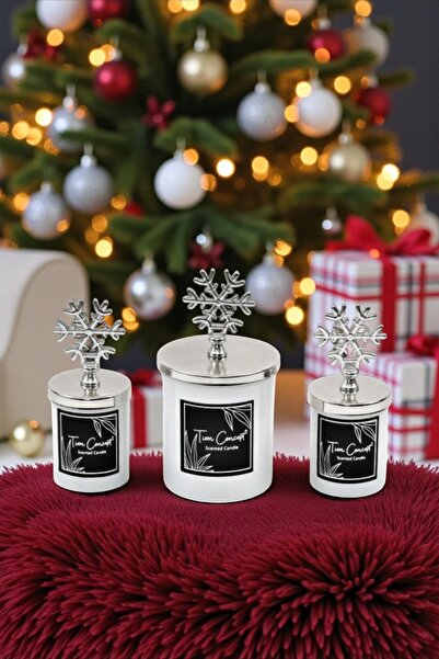 Tiem Concept Yılbaşına Özel Hediyelik Gümüş Kartaneli Vanilya Kokulu 3'lü Bey...