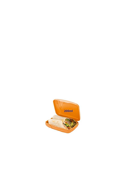 Tupperware Sandwich and Snack Carry Container