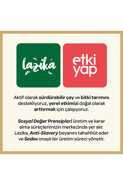 LAZİKA Hisli Harman Canfeza (Beije Çayı) 18'li PLA Poşet - Kırmızı Ginseng, Kakao, Hibiskus