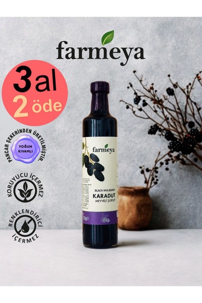 farmeya Karadut Özü 700gr - Karadut Meyveli Şurup