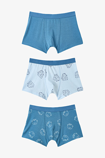 Penti Boy's Hedgehog Patterned Cotton 3-Piece Boxer
