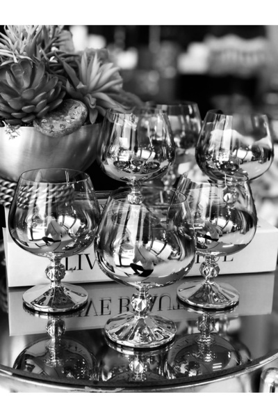 EVRA Bohemia Kristal Titanyum Gümüş Kahve Yanı Su Bardağı 250cc