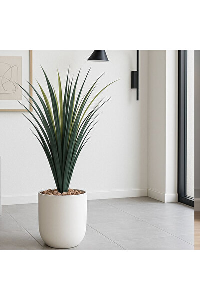 co arma Cactus tree in a plastic pot - 70 cm in a round plastic container