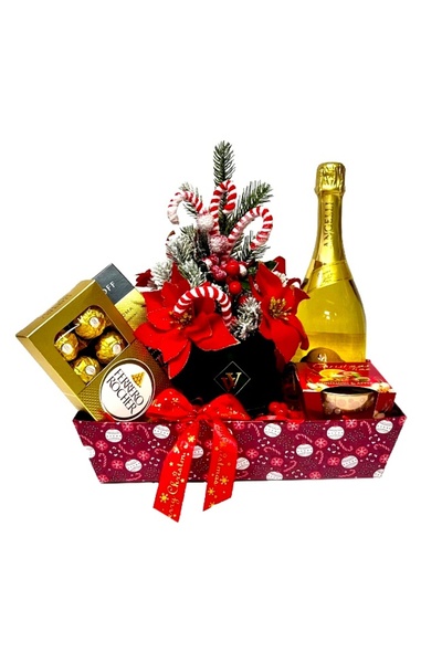 velve Cos Merry Christmas,Aranjament Flower Christmas,cafea,praline,vin spuma...