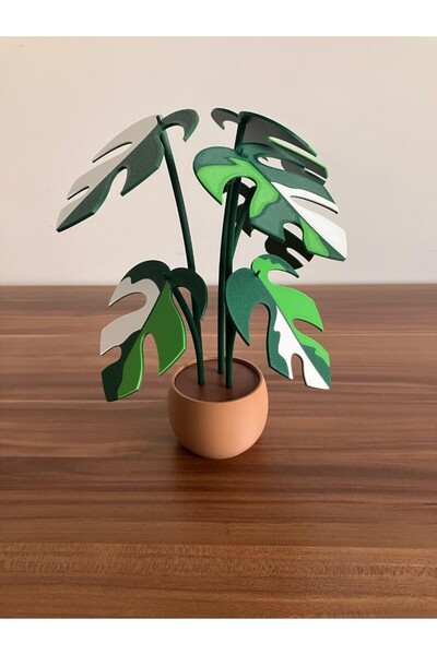 genomera Raphidaphora Plant Shaped Coaster