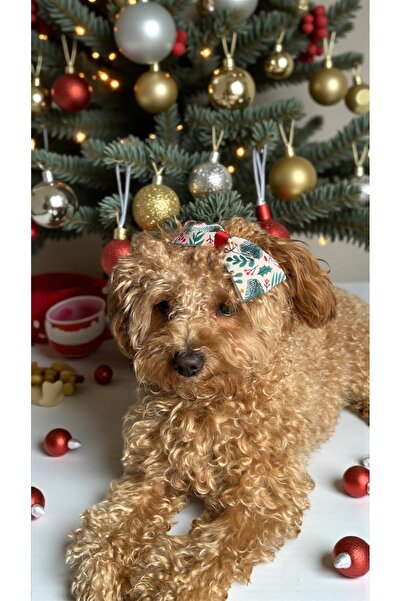 MeloKids Yılbaşı Kokina Desenli Kurdele Köpek Tokası