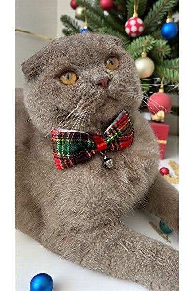 MeloKids Plaid Patterned Cat and Small Breed Dog Collar