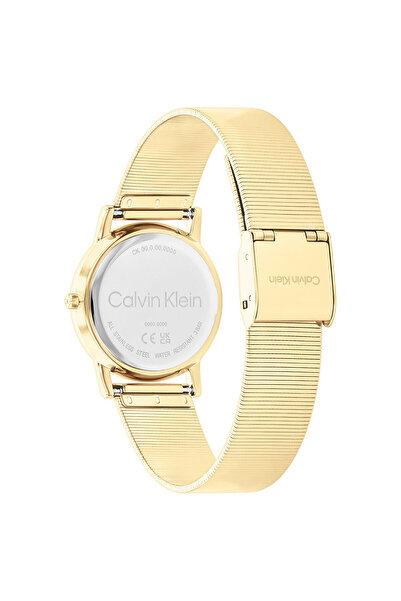 Calvin Klein CK25100035 Women's Wristwatch
