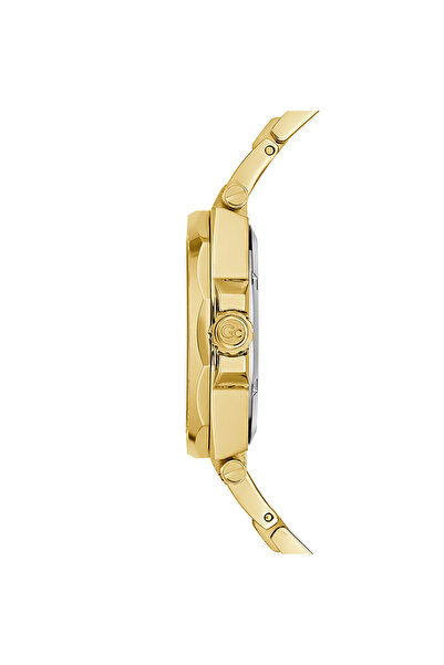 Guess Collection Gcz20008L1Mf Women Wrist Watch