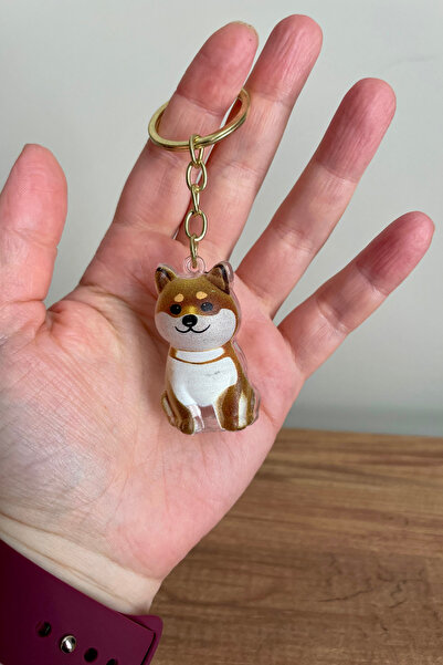 Kreta Store Şeffaf Köpek Tüyü Saklama Kutusu- Evcil Hayvan Tüyü Hatırası Hedi...