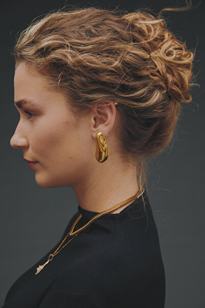 Oval shiny earrings