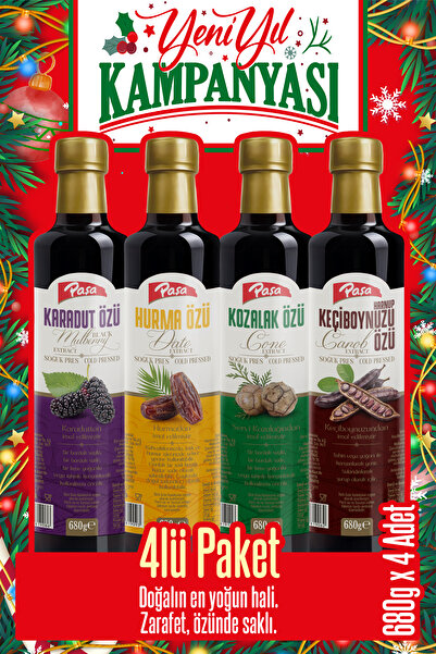 Paşa Kuruyemiş Paşa Lezzet Özleri 4’lü Karışım - Karadut Özü, Hurma Özü, Keçiboynuzu Özü, Kozalak Özü