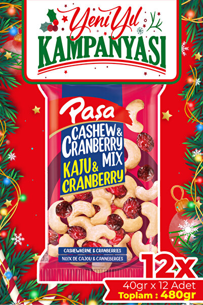 Paşa Kuruyemiş Kaju & Cranberry Mix 40 gr X 12 Adet (480 GR), Çiğ Karışık Kuruyemiş